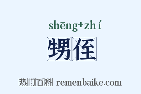甥侄是什么意思的图片